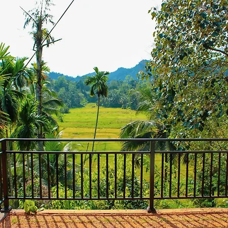 Rainforest Border Edge Deniyaya Exterior photo