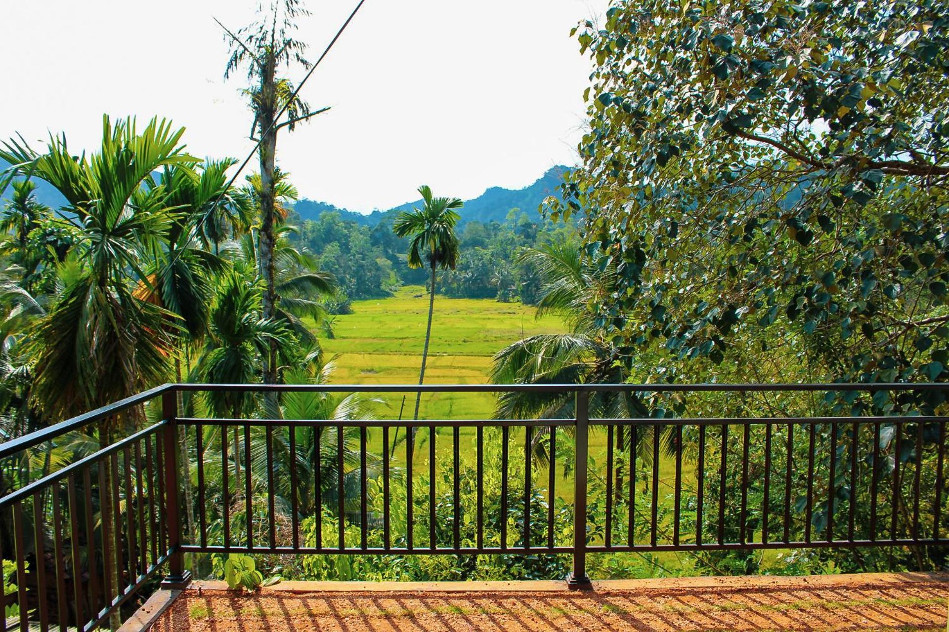 अपार्टमेंट Rainforest Border Edge