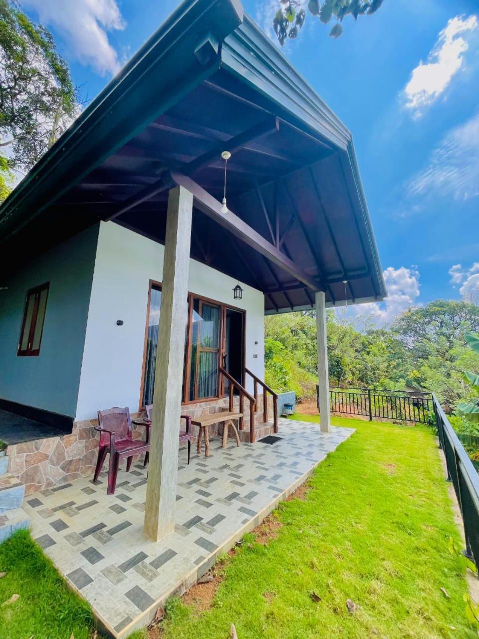 अपार्टमेंट Rainforest Border Edge *